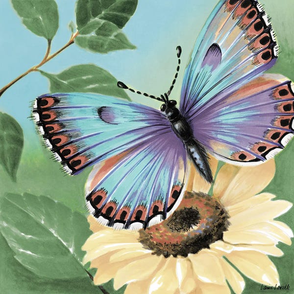 Fine Art Print: Butterfly Flowers II by Lanie Loreth