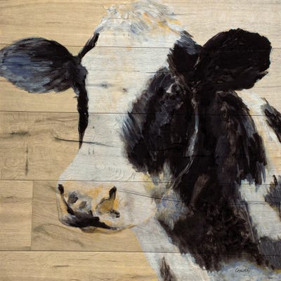 Cow On Wood by Lanie Loreth canvas print