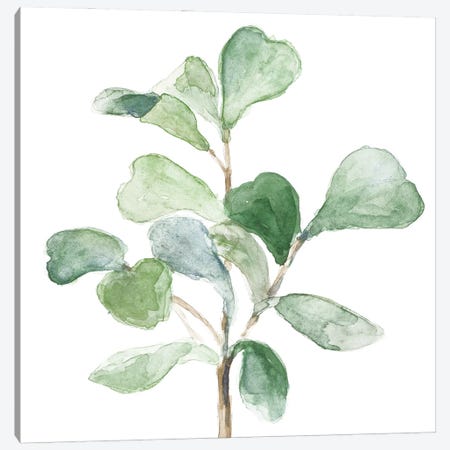 Fiddle Fig Leaf Plant I Canvas Print #LNL624} by Lanie Loreth Canvas Wall Art