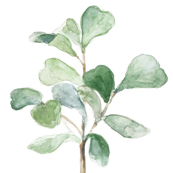 Lanie Loreth: Fiddle Fig Leaf Plant I by Lanie Loreth
