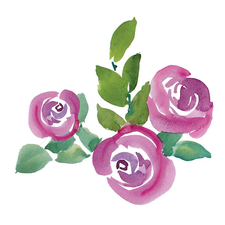 Fushia Roses by Lanie Loreth wall art