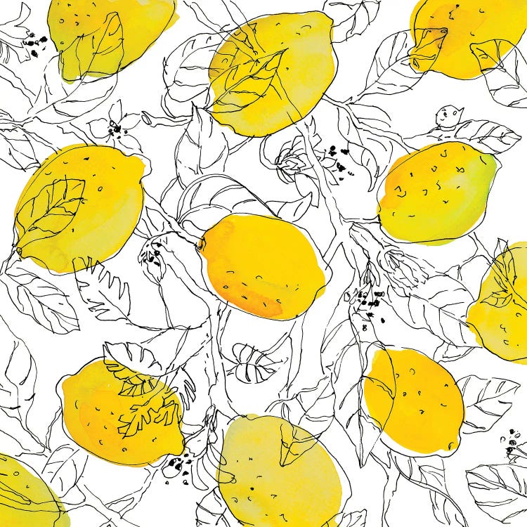 Lemons With Outlined Leaves