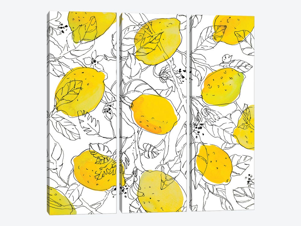 Lemons With Outlined Leaves by Lanie Loreth 3-piece Canvas Art Print