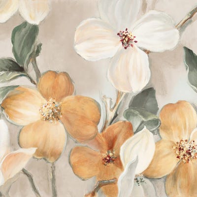 Neutral Bella Fiori Square by Lanie Loreth canvas print