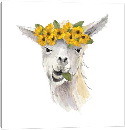 Floral Llama I Canvas Art Print - Llama & Alpaca Art