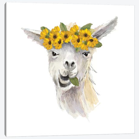 Floral Llama I Canvas Print #LNL66} by Lanie Loreth Canvas Artwork