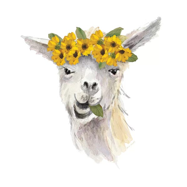 Llamas: Floral Llama I by Lanie Loreth