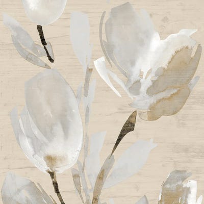 Neutral Tulips II by Lanie Loreth canvas print