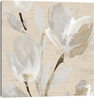 Neutral Tulips II Canvas Art Print - Lanie Loreth