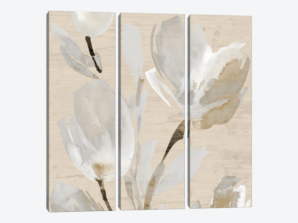 Neutral Tulips II by Lanie Loreth 3-piece Canvas Print