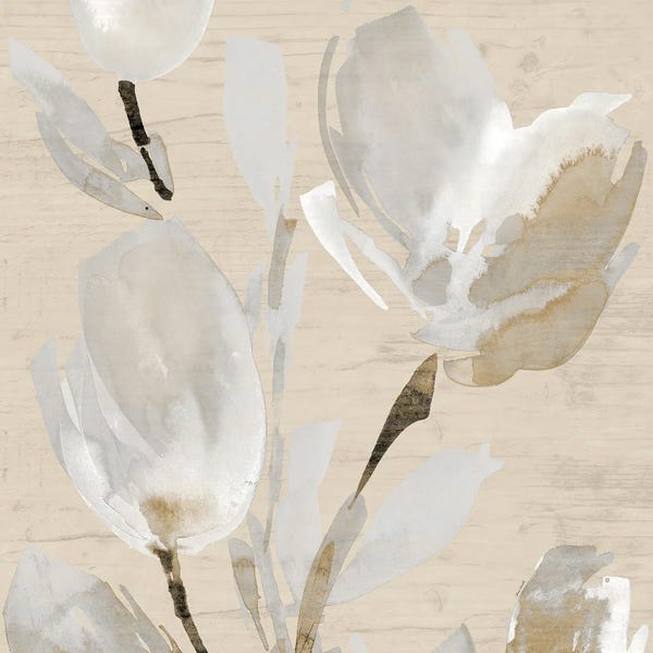 Tulips: Neutral Tulips II by Lanie Loreth