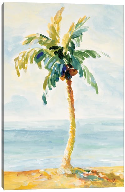 Palms In Paradise II Canvas Art Print - Lanie Loreth