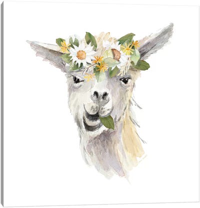 Floral Llama III Canvas Art Print - Llama & Alpaca Art