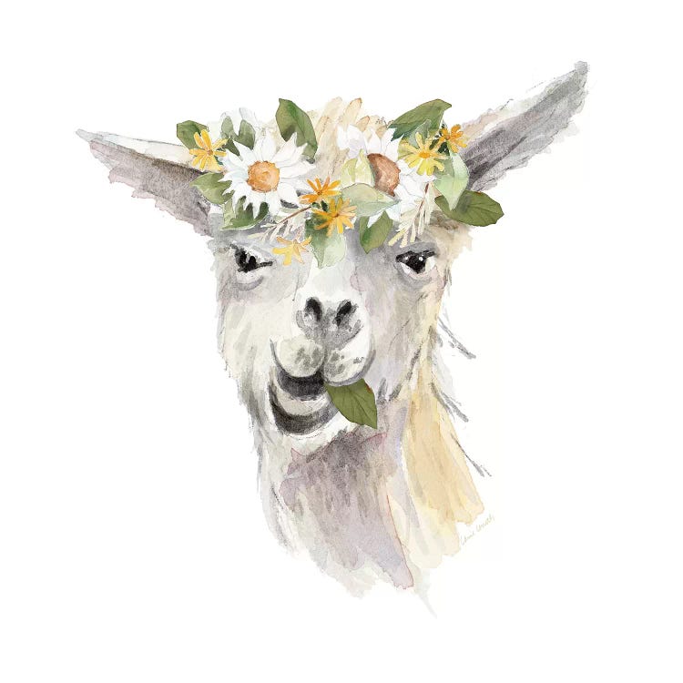 Floral Llama III