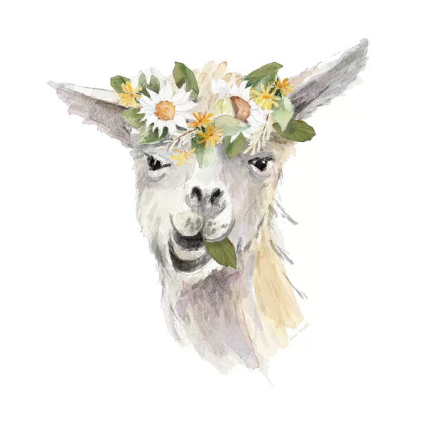 Llamas: Floral Llama III by Lanie Loreth