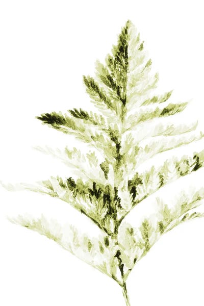 Single Branch I by Lanie Loreth framed canvas print