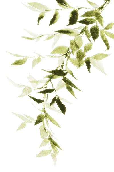 Single Branch II by Lanie Loreth framed canvas print