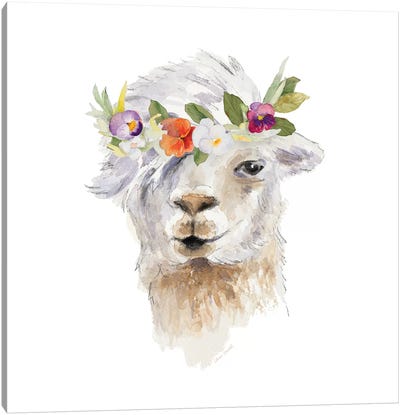 Floral Llama IV Canvas Art Print - Llama & Alpaca Art