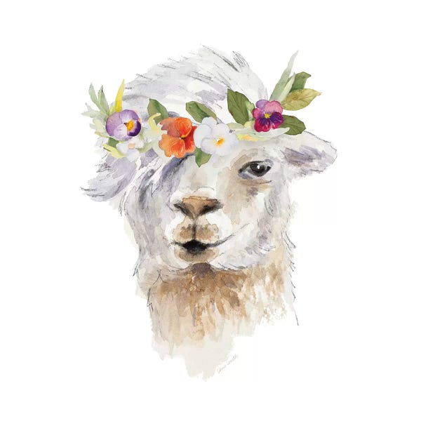 Llamas: Floral Llama IV by Lanie Loreth