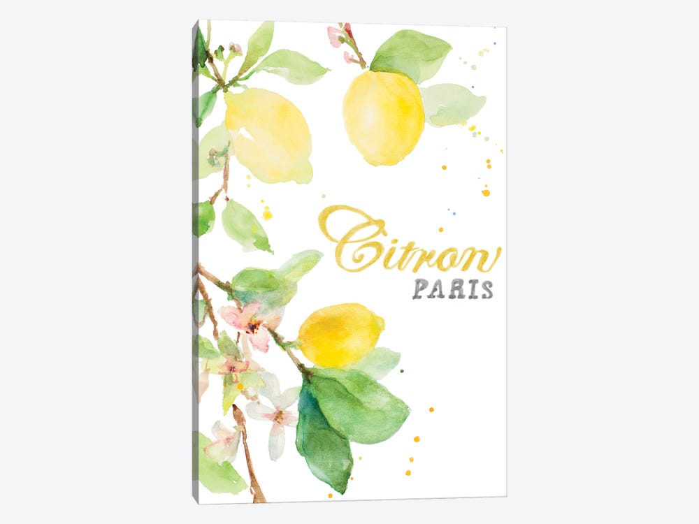 Spring Citron In Paris by Lanie Loreth 1-piece Canvas Print