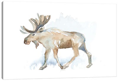 Watercolor Moose Canvas Art Print - Lanie Loreth