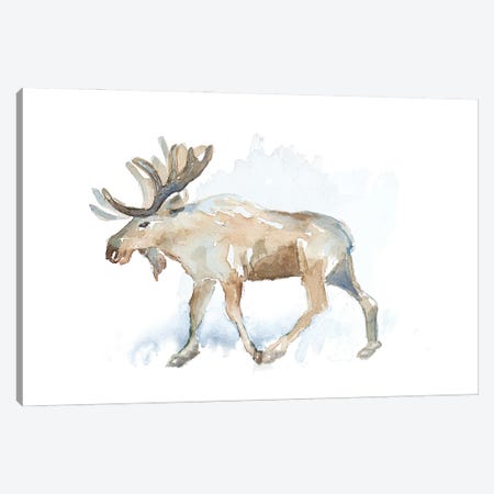 Watercolor Moose Canvas Print #LNL719} by Lanie Loreth Canvas Print