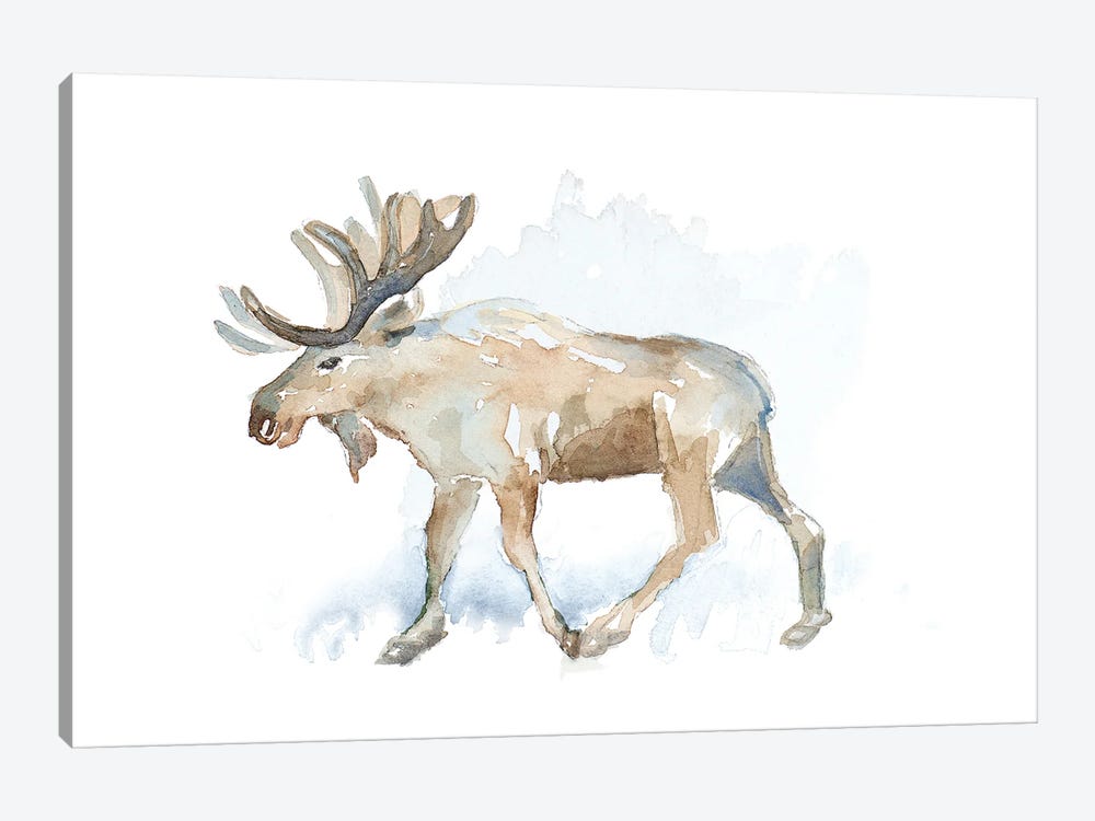 Watercolor Moose by Lanie Loreth 1-piece Canvas Print