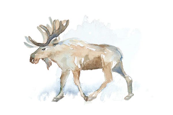 Moose: Watercolor Moose by Lanie Loreth