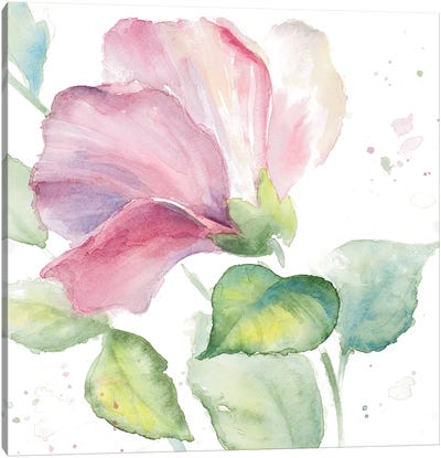 Fragrant Hibiscus I Canvas Art Print - Lanie Loreth