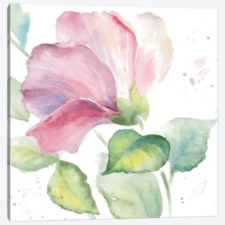 Fragrant Hibiscus I Canvas Print #LNL71} by Lanie Loreth Canvas Artwork