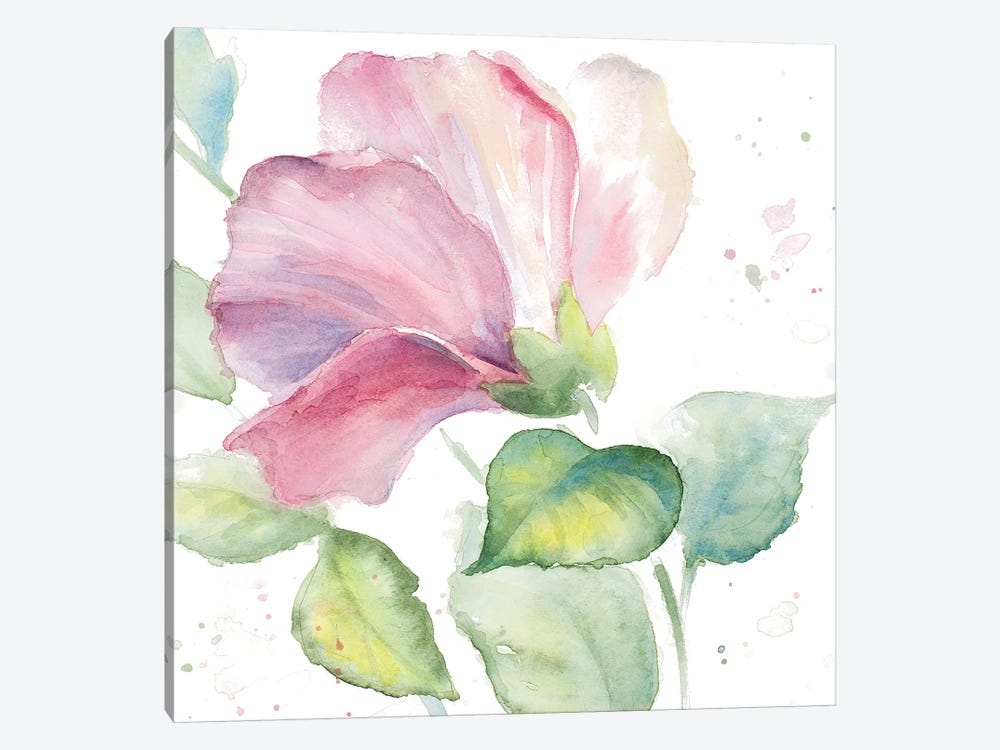Fragrant Hibiscus I by Lanie Loreth 1-piece Canvas Art Print