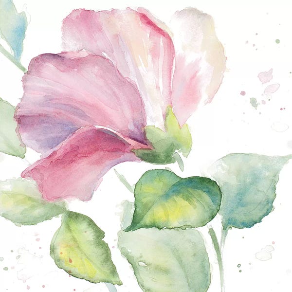 Hibiscuses: Fragrant Hibiscus I by Lanie Loreth