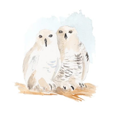 Watercolor Snowy Owls by Lanie Loreth framed canvas print