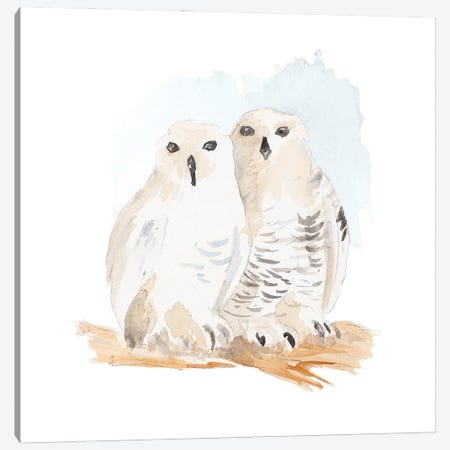 Watercolor Snowy Owls Canvas Print #LNL720} by Lanie Loreth Canvas Art