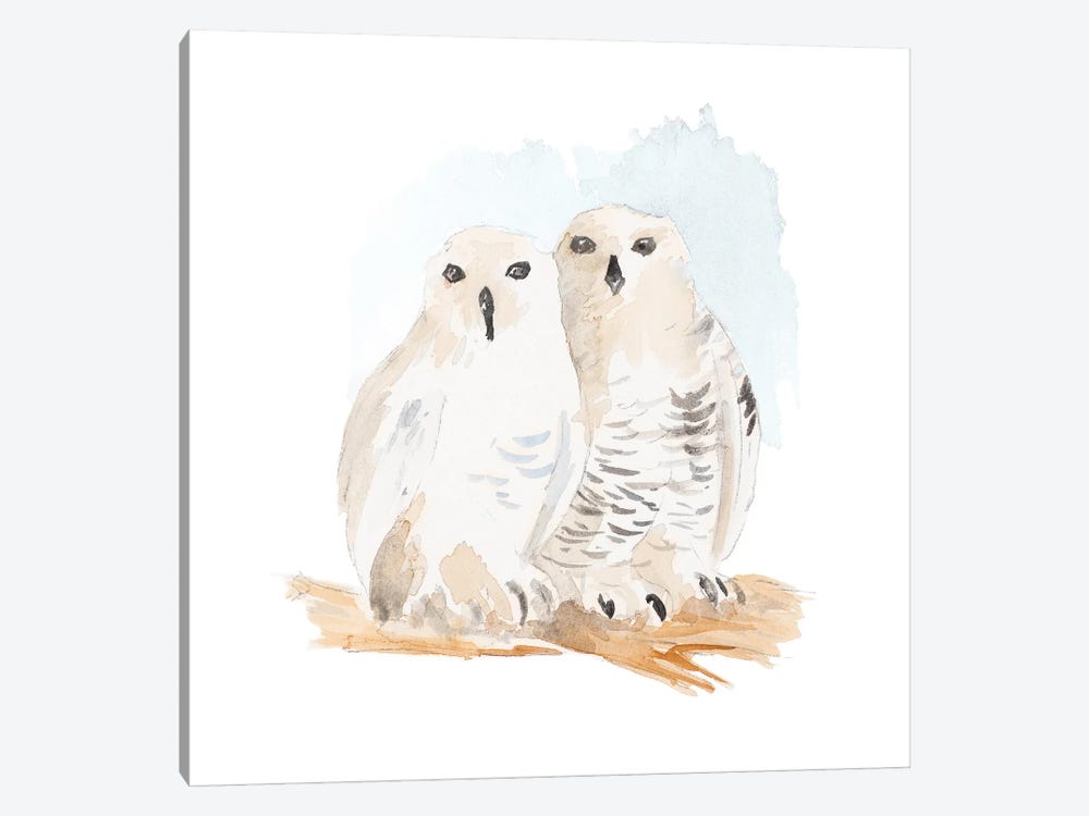 Watercolor Snowy Owls by Lanie Loreth 1-piece Canvas Art Print