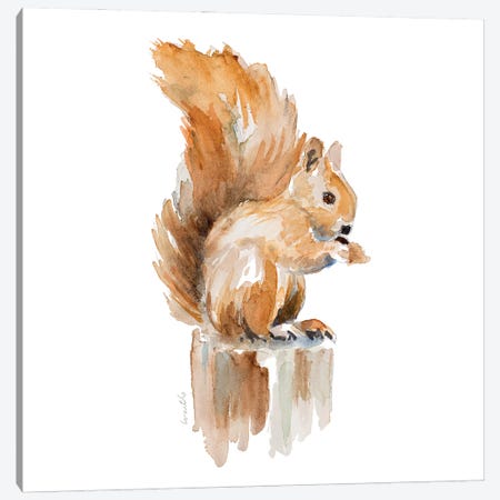 Watercolor Squirrel Canvas Print #LNL721} by Lanie Loreth Canvas Wall Art