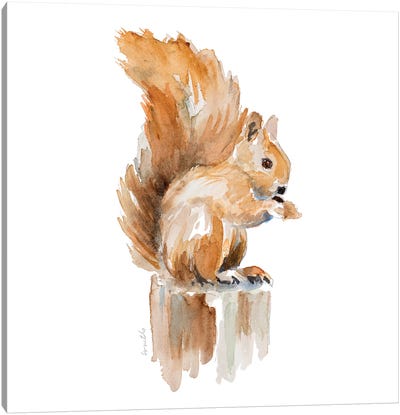 Watercolor Squirrel Canvas Art Print - Squirrel Art