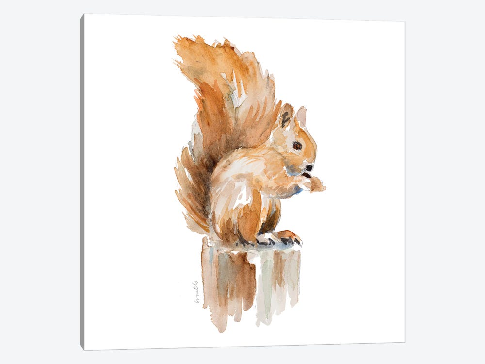Watercolor Squirrel by Lanie Loreth 1-piece Canvas Artwork