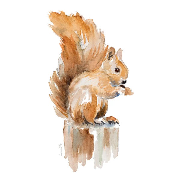 Lanie Loreth: Watercolor Squirrel by Lanie Loreth