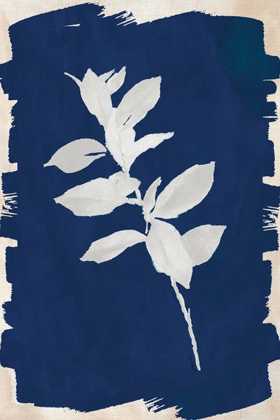 Lanie Loreth: White Leaf on Navy II by Lanie Loreth