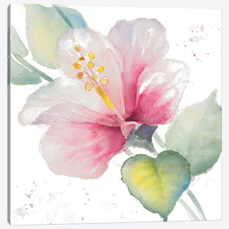 Fragrant Hibiscus II Canvas Print #LNL72} by Lanie Loreth Canvas Art