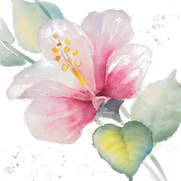 Lanie Loreth: Fragrant Hibiscus II by Lanie Loreth