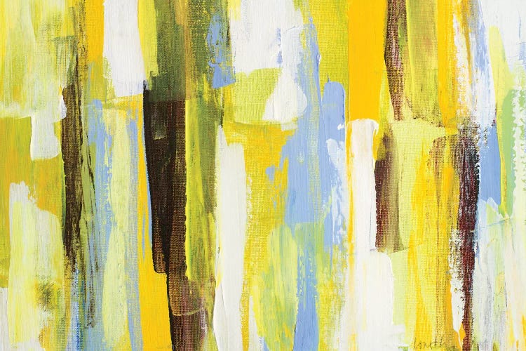 Garden Abstract I by Lanie Loreth canvas print