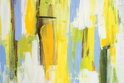 Garden Abstract II by Lanie Loreth framed canvas print