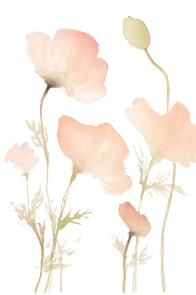 Lanie Loreth: Early Summer Poppies I by Lanie Loreth