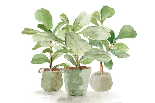 Minimalist Bohemian Decor: Fiddle Fig Trio by Lanie Loreth