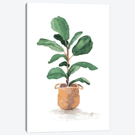 Potted Fiddle Fig Tree II Canvas Print #LNL801} by Lanie Loreth Canvas Print