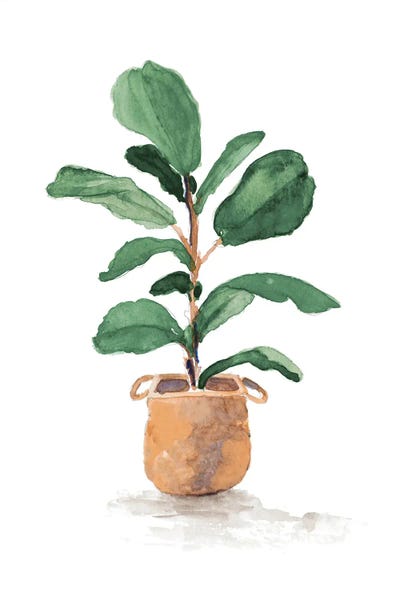 Minimalist Bohemian Decor: Potted Fiddle Fig Tree II by Lanie Loreth