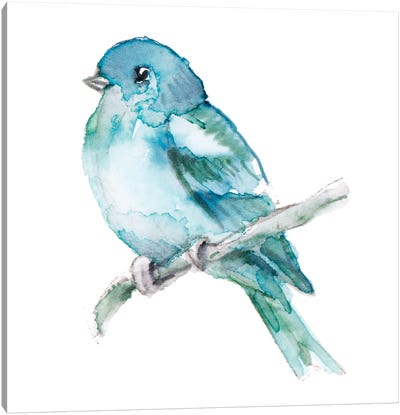 Spring Blue Bird II Canvas Art Print - Lanie Loreth