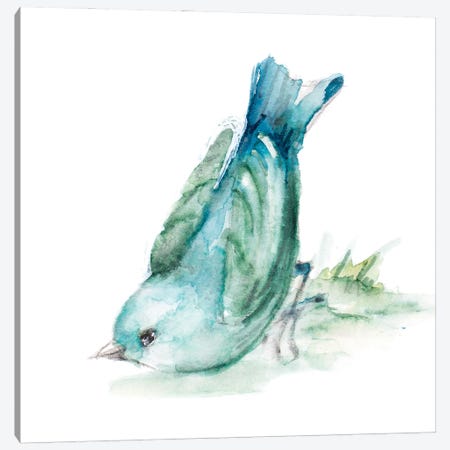 Spring Blue Bird IV Canvas Print #LNL809} by Lanie Loreth Art Print
